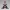 Lilith Ravenscroft – Ecchi Figurine