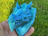 Dragon Guardian Shield-7
