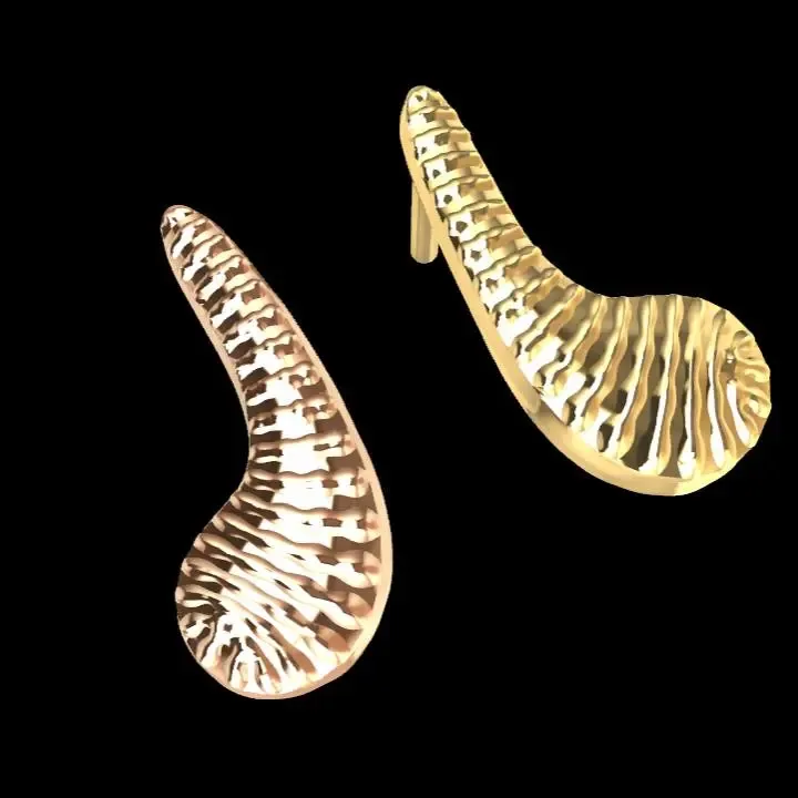Modern Elegant Earrings