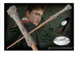 Matteo_Arcari tarafından Harry Potter Asası-0