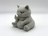 Grumpy Fluff Kitten-2