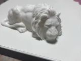 Sleeping lion-0