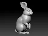 Rabbit rex model urban vibes-3