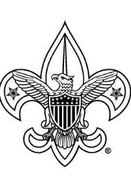 BSA Logo