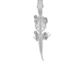 Deinocheirus Skeleton – Highly Detailed Dinosaur Anatomy-2