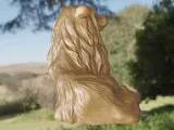 Dog Colley-3