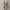 Hugging Gnomes Wall Art