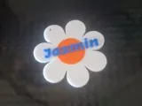 flor jazmin-1
