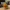 Pato de Goma - Galletas de Pato - Impresión 3D