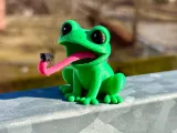 Frog with insect-3