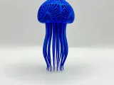 Jellyfish-1