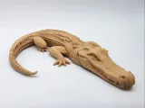 Alligator 1-1