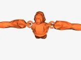 Ragdoll monkey animal company-0