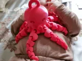 Octopus With Ring-1