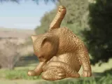 Cat cleaning-3