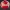 Timeless Rose of Affection – Noah0x03