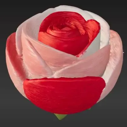 Timeless Rose of Affection – Noah0x03