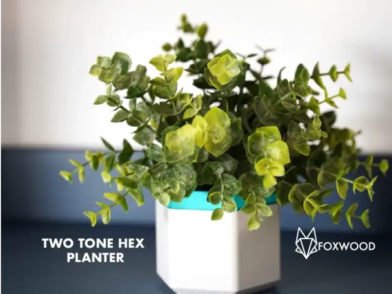 Two Tone Hex Planter