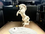 Realistic Horse-2