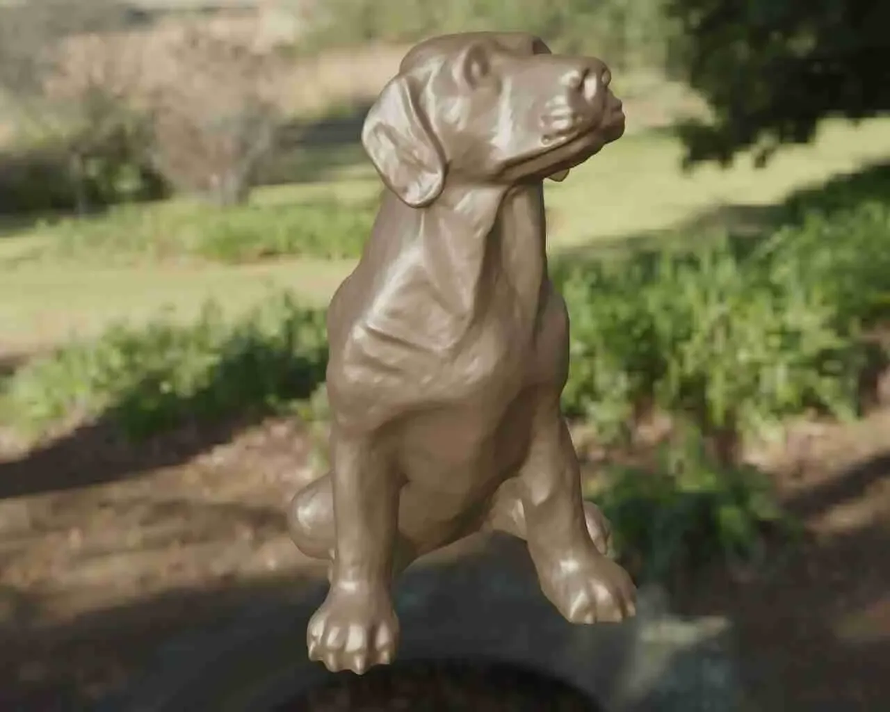 Dog Labrador