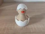 Hatched Chicken-7