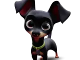 Pinscher - Dog-0