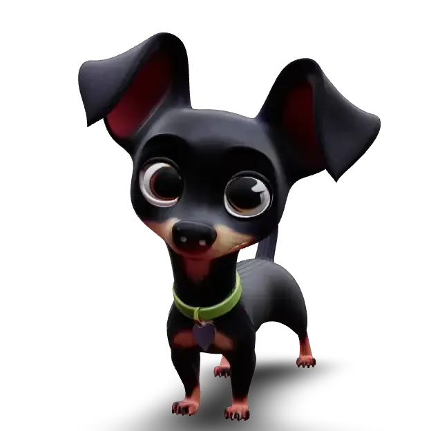 Pinscher - Dog