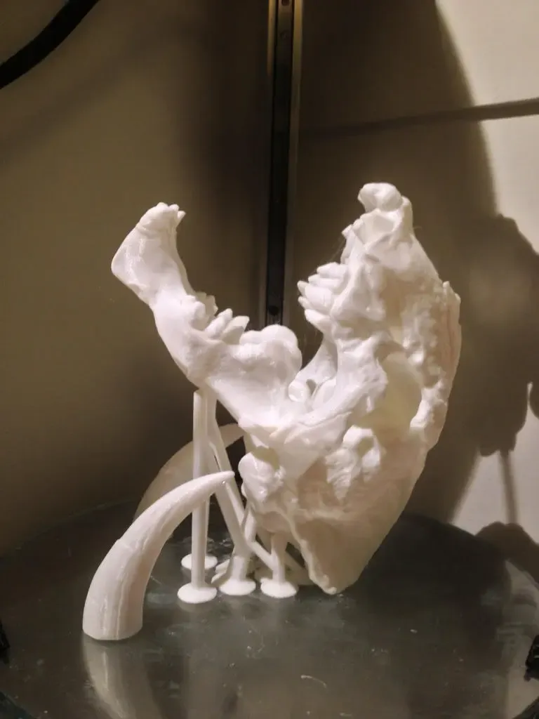 MiniSaberToothSkull improvement Support