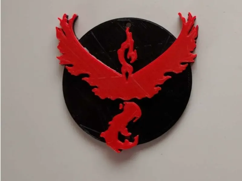 Team Valor Plaque