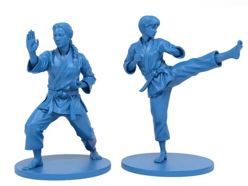 Women karatekas