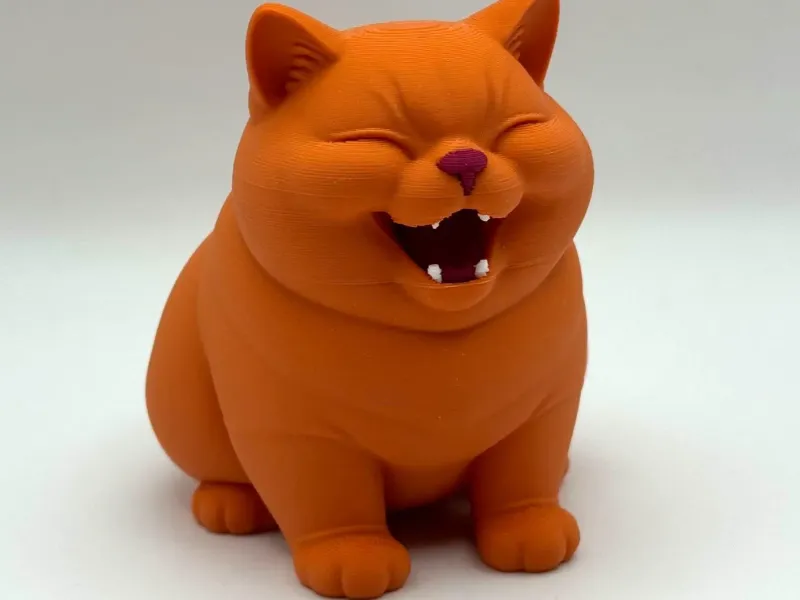 Happy Chonk Kitten