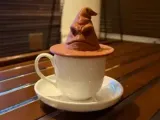 Lid for Magic Sorting Hat Cup-1