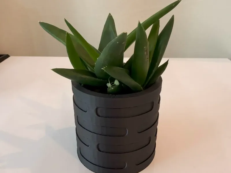 Vaso de flores pequeno