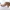 Tree branch for snake encloser