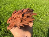 Dragon head-1