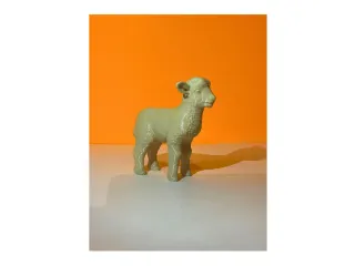 Lamb