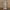 Rick Sanchez Statue
