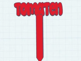 Planzenstecker Tomaten