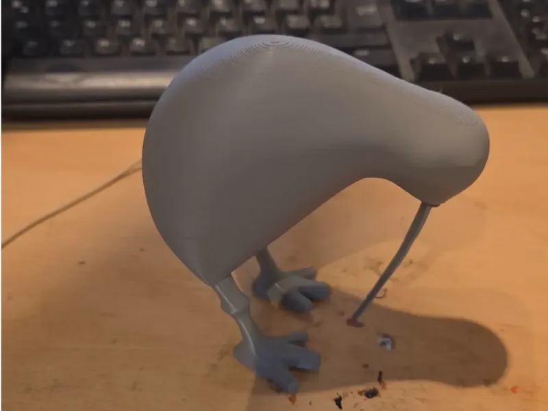 oiseau kiwi