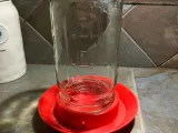 Chicken Waterer-0