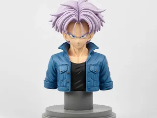 Trunks Bust