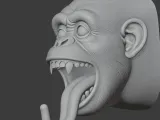 Monkey Head Wall Hanger Coat and Key Holder Hook-4