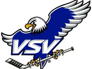 EC VSV