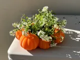 Pumpkin patch planter-0