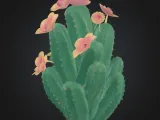 Cactus-3