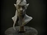 Busto Orco-0