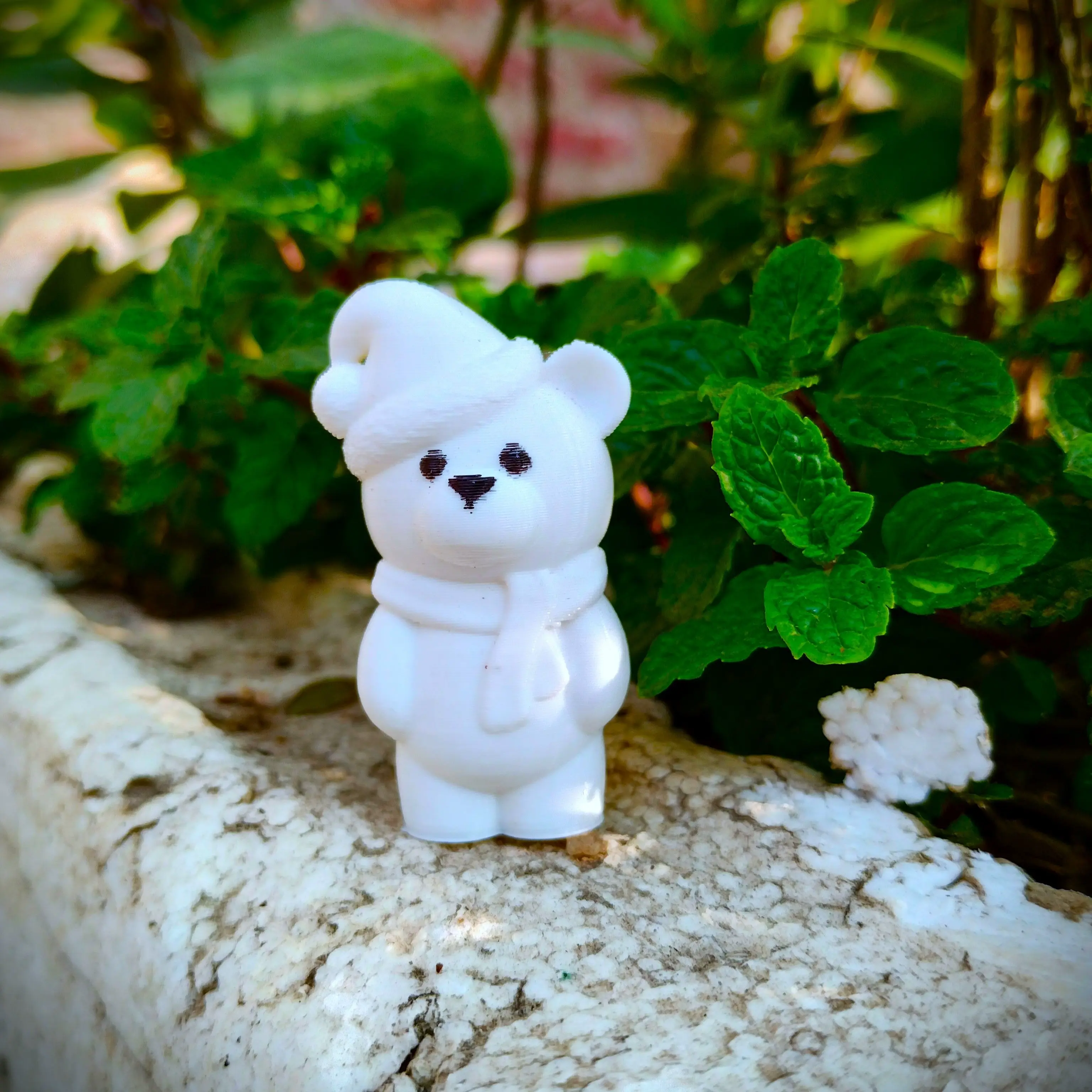 Christmas Special - Cute Teddy Bear