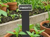 Pepper Plant Sign-1