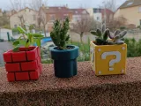 Petits pots de fleurs mario - Petits pots de fleur mario-0