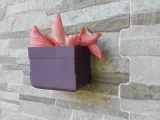 Minimalistic Wall Planter-0